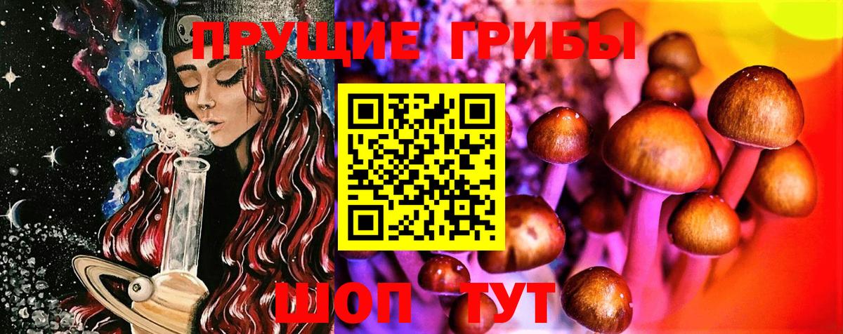 Галлюциногенные грибы Psilocybine cubensis  Вход с VPN  Сергиев Посад  Псилоцибиновые грибы Psilocybine cubensis 